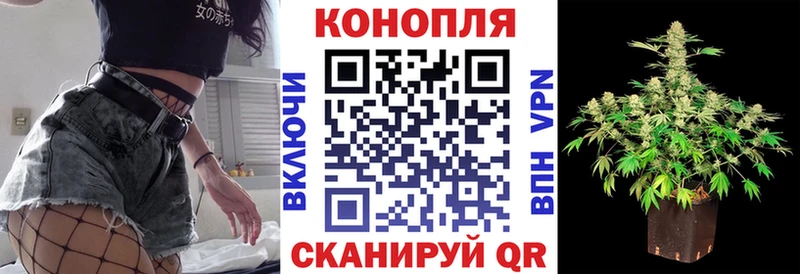 omg как войти  Ясный  Бошки марихуана White Widow 